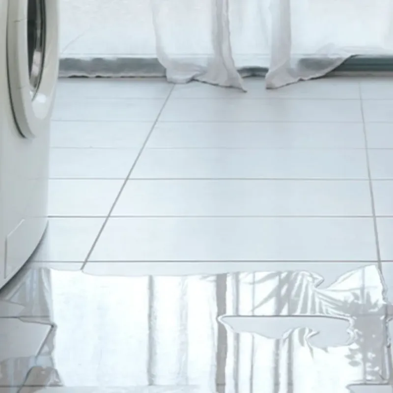 Appliance Leak Cleanup in Saint Joseph County, IN