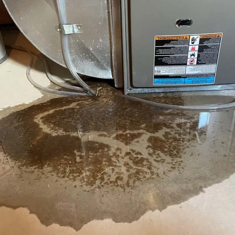 Pipe Burst and Leak Restoration in Saint Joseph County, IN