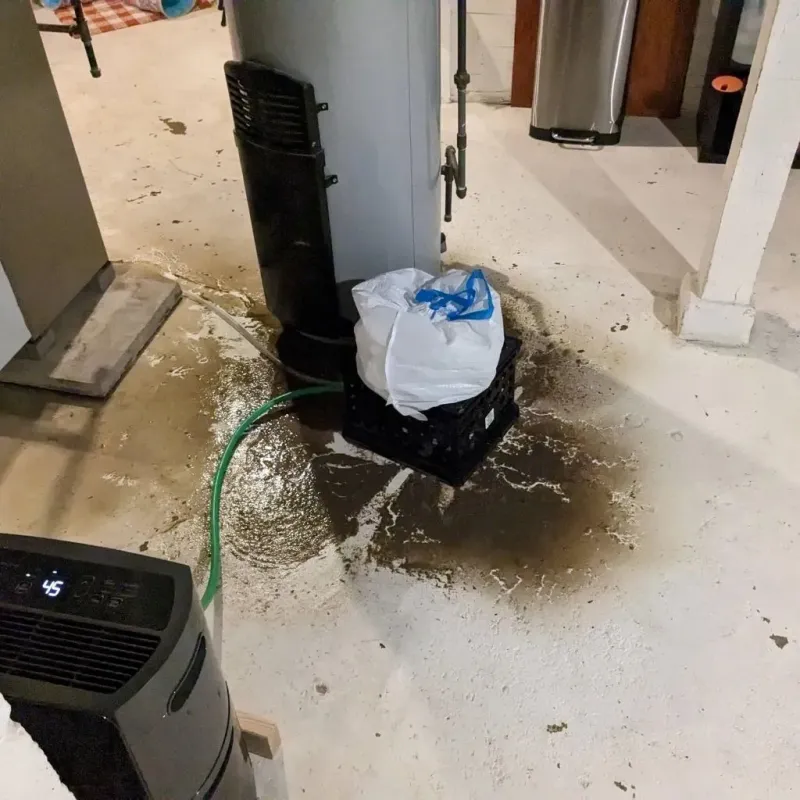 Sewage Backup Cleanup Service in Saint Joseph County, IN